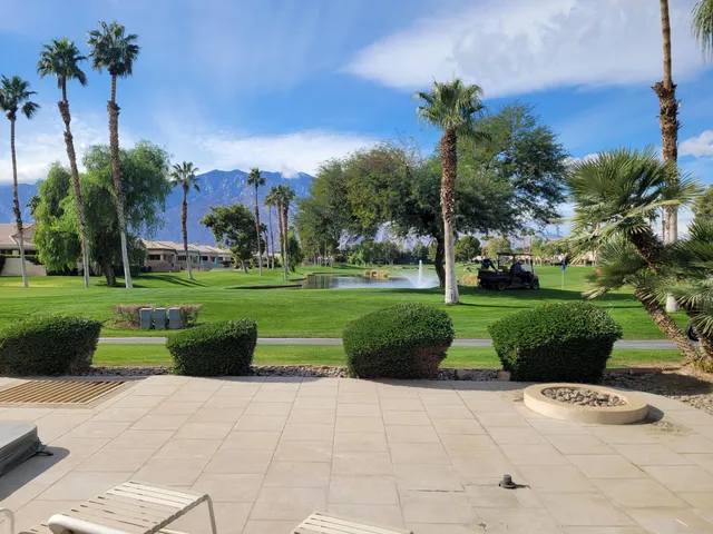 a view of a park with plants and palm trees