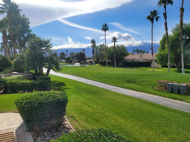 a view of a park and entertaining space