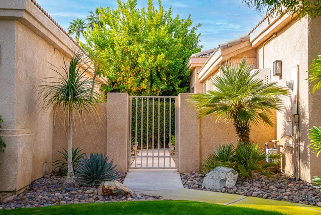 a view of a backyard with plants and palm trees