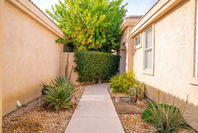 a view of a pathway with plants