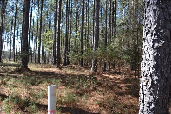 $85,900 | 827 Audubon Place, Iva, SC 29655