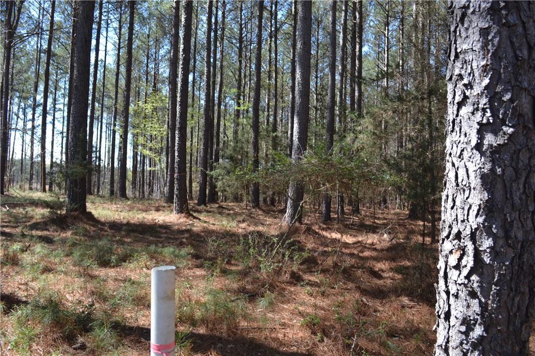 827 Audubon Place Iva, SC 29655 - Photo 3 of 7 A tranquil wooded lot offers a private, natural setting.