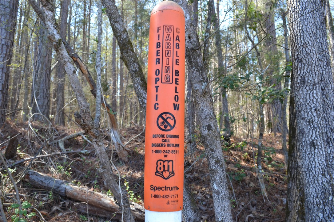 827 Audubon Place Iva, SC 29655 - Photo 4 of 7 A orange marker signals the presence of fiber optic.