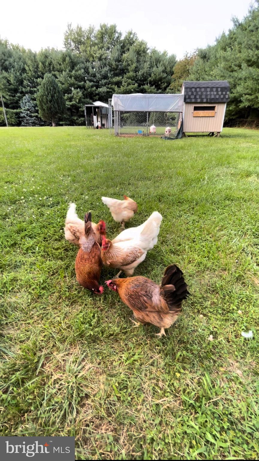 162 Millstone Road Millstone Township, NJ 08535 - Photo 41 of 50