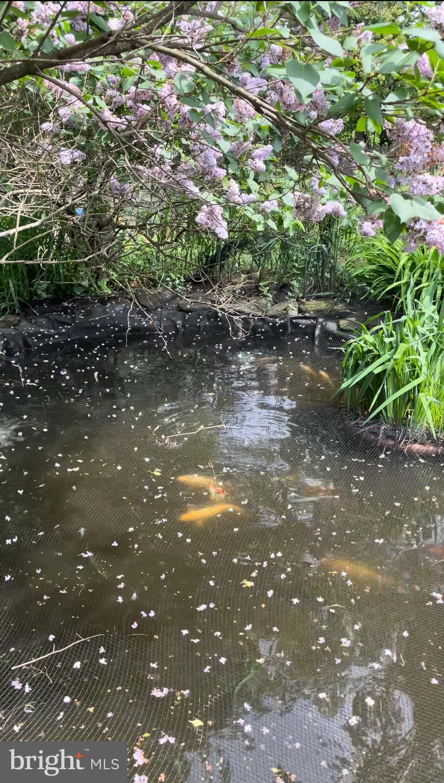 162 Millstone Road Millstone Township, NJ 08535 - Photo 43 of 50