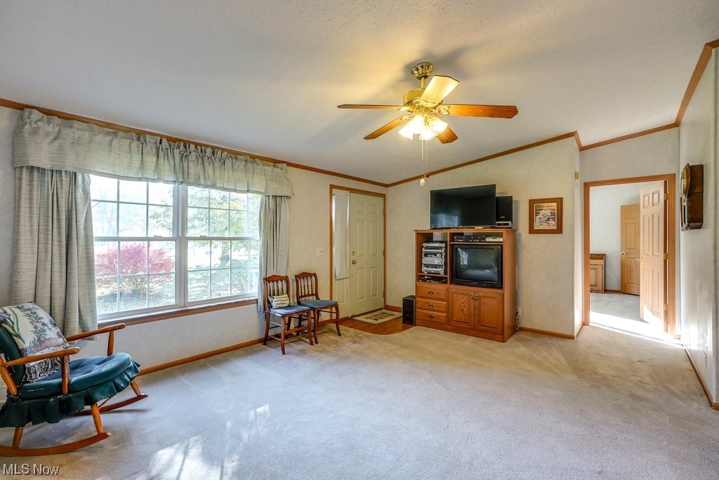 1189 Sandy Lake Road Ravenna, OH 44266 - Photo 12 of 32 Living area featuring ornamental molding, light carpet, ceiling fan, and vaulted ceiling