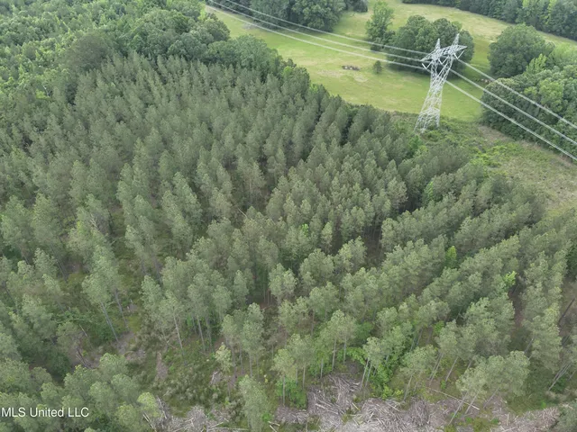 $152,600 | 429 Hwy Sallis Ms 39160, Sallis, MS 39160