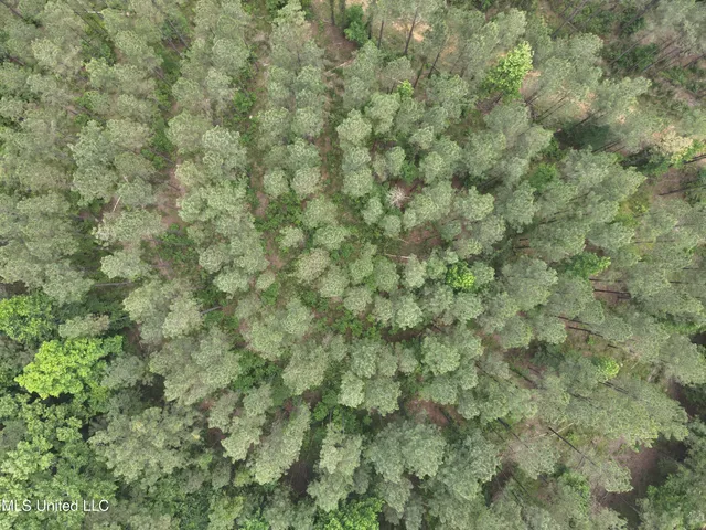 $152,600 | 429 Hwy Sallis Ms 39160, Sallis, MS 39160