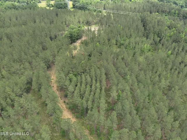 $152,600 | 429 Hwy Sallis Ms 39160, Sallis, MS 39160