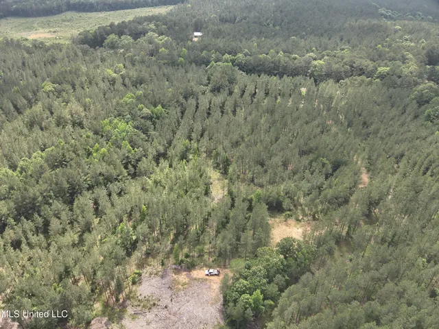 $152,600 | 429 Hwy Sallis Ms 39160, Sallis, MS 39160