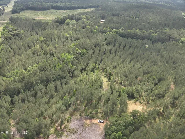 $152,600 | 429 Hwy Sallis Ms 39160, Sallis, MS 39160