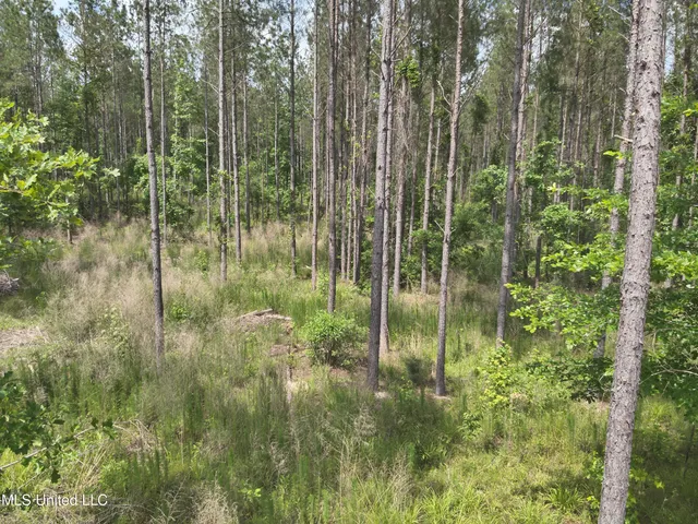 $152,600 | 429 Hwy Sallis Ms 39160, Sallis, MS 39160