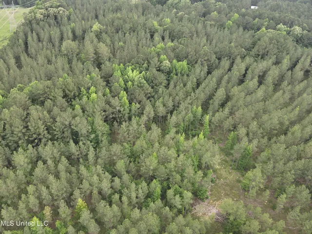 $152,600 | 429 Hwy Sallis Ms 39160, Sallis, MS 39160