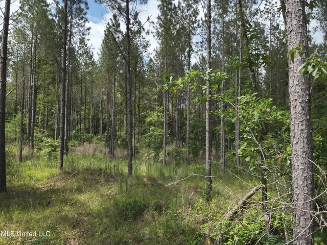 $152,600 | 429 Hwy Sallis Ms 39160, Sallis, MS 39160