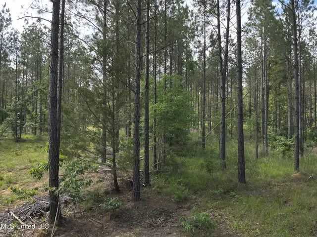 $152,600 | 429 Hwy Sallis Ms 39160, Sallis, MS 39160