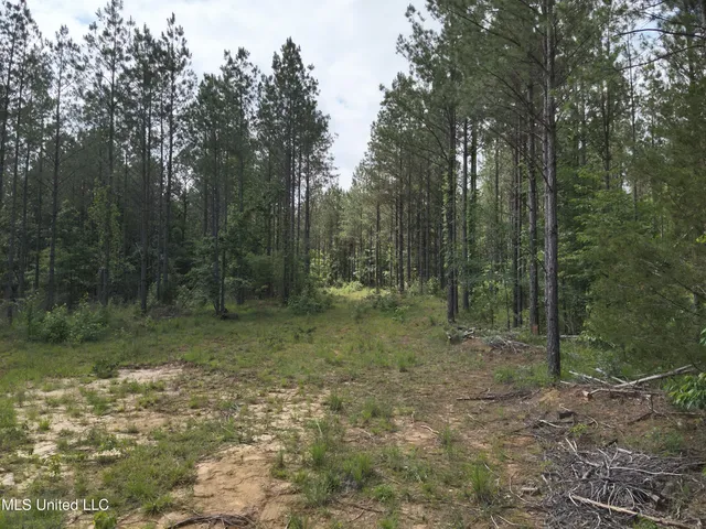 $152,600 | 429 Hwy Sallis Ms 39160, Sallis, MS 39160
