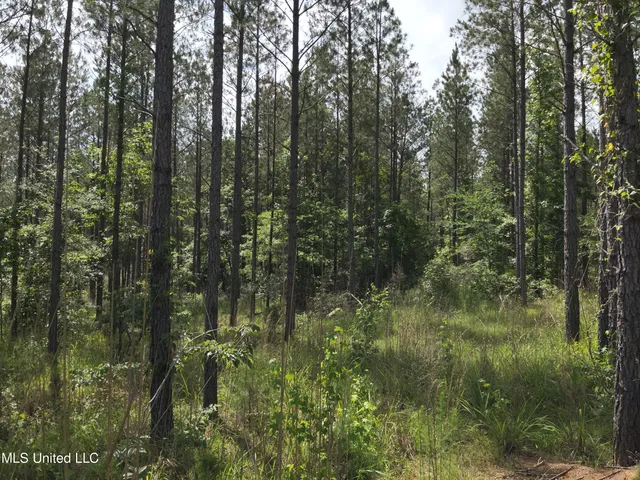 $152,600 | 429 Hwy Sallis Ms 39160, Sallis, MS 39160