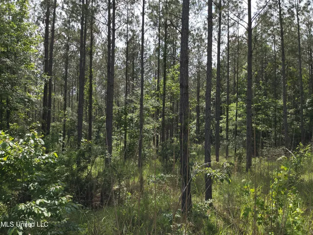 $152,600 | 429 Hwy Sallis Ms 39160, Sallis, MS 39160