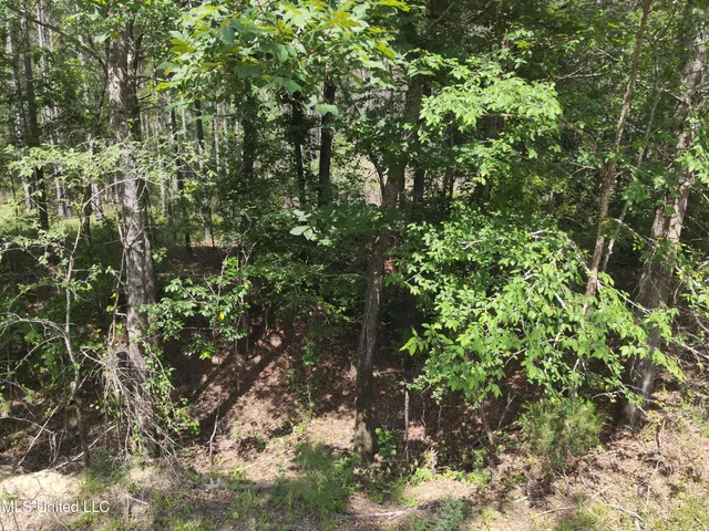 $152,600 | 429 Hwy Sallis Ms 39160, Sallis, MS 39160