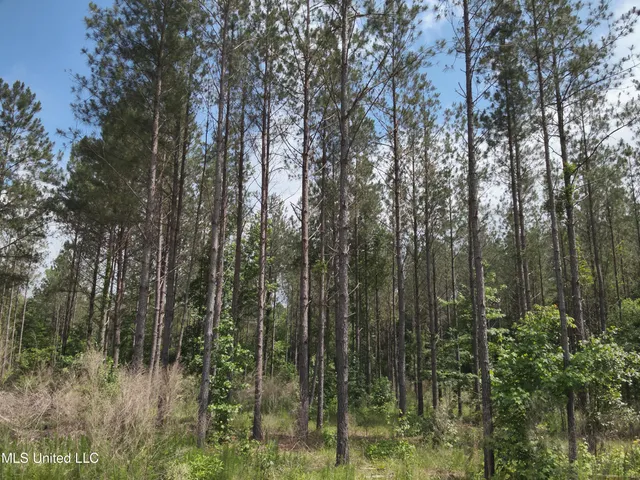 $152,600 | 429 Hwy Sallis Ms 39160, Sallis, MS 39160