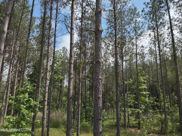 $152,600 | 429 Hwy Sallis Ms 39160, Sallis, MS 39160