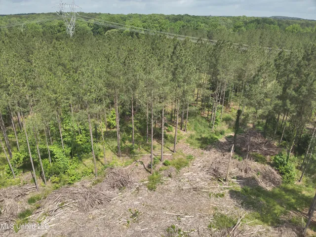 $152,600 | 429 Hwy Sallis Ms 39160, Sallis, MS 39160