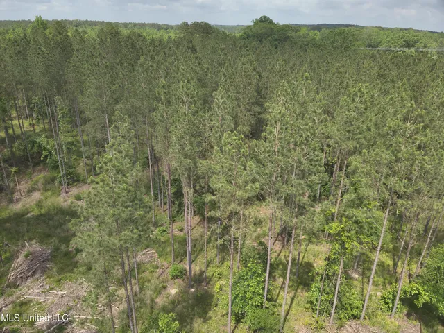 $152,600 | 429 Hwy Sallis Ms 39160, Sallis, MS 39160