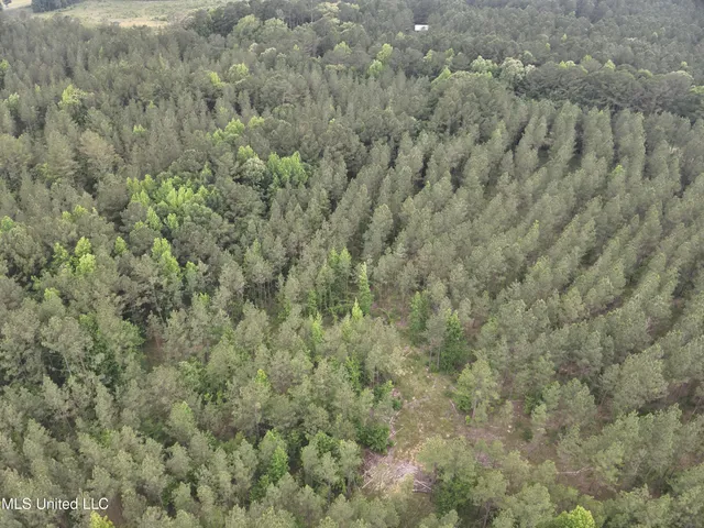 $152,600 | 429 Hwy Sallis Ms 39160, Sallis, MS 39160