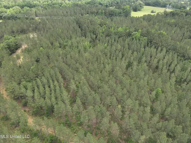 $152,600 | 429 Hwy Sallis Ms 39160, Sallis, MS 39160