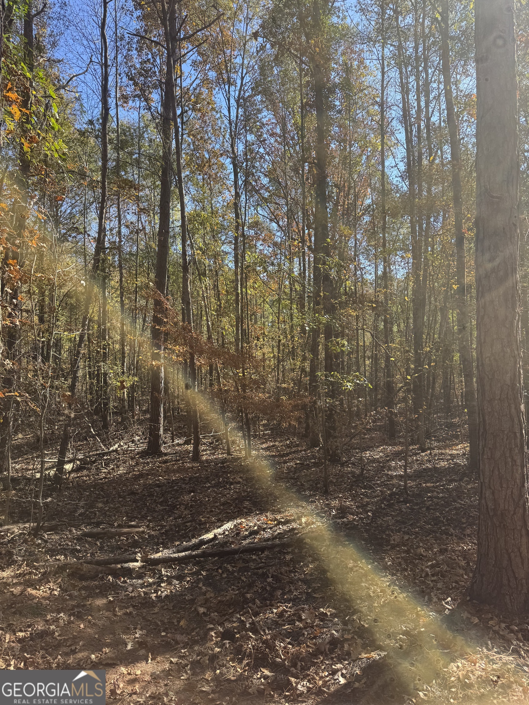 157 West Drummond Road West Point, GA 31833 - Photo 6 of 8