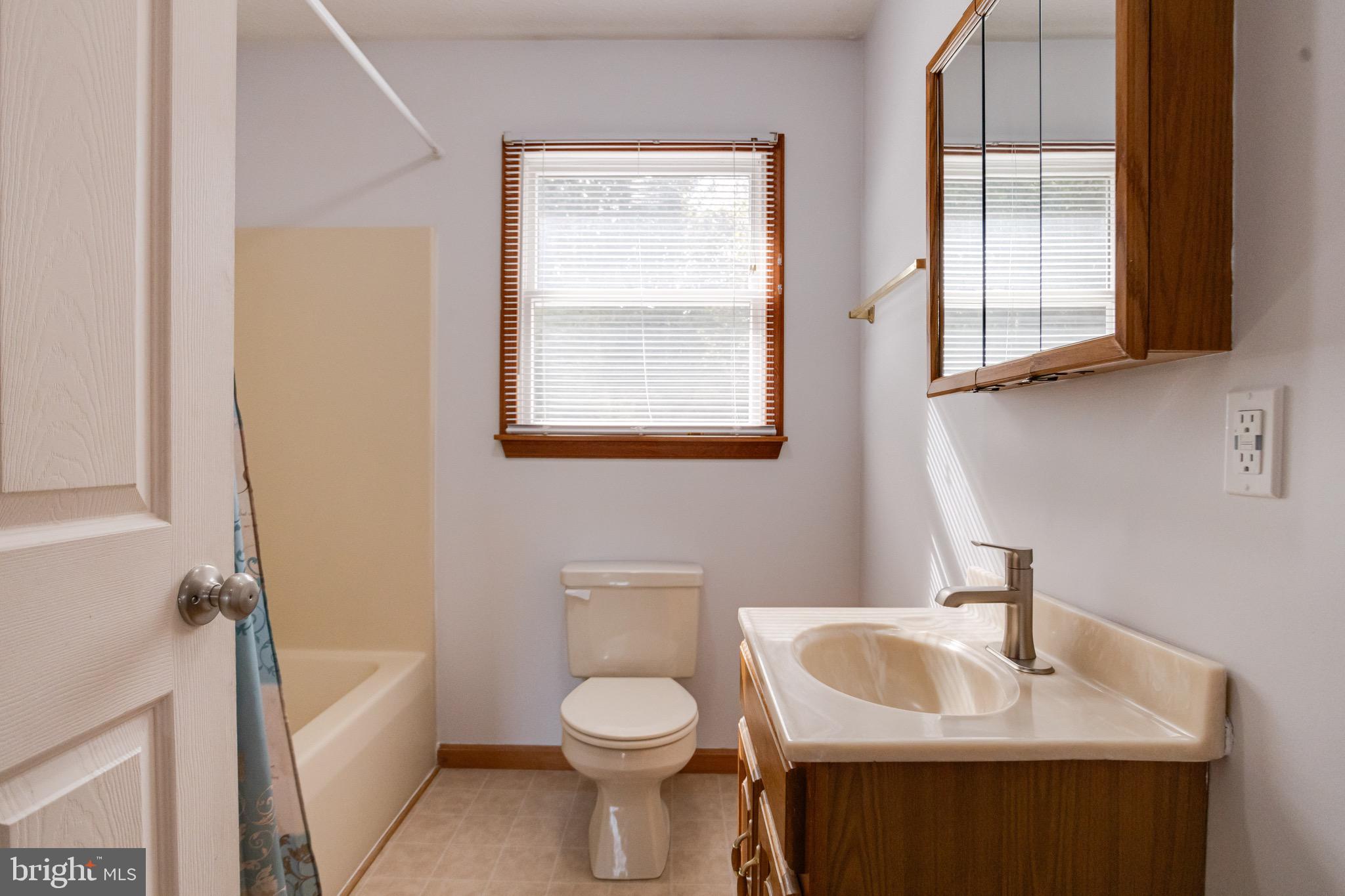 52 Craig Court Conowingo, MD 21918 - Photo 68 of 101 a bathroom with a sink toilet and tub