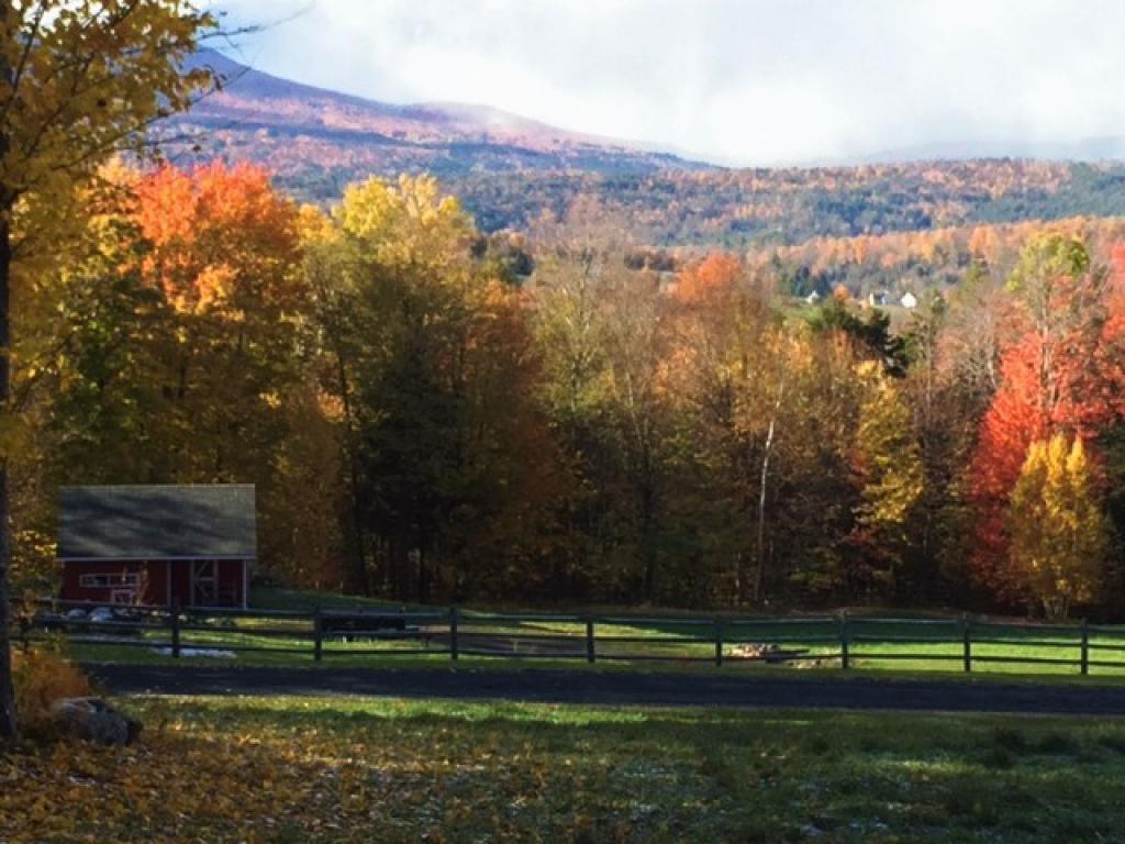 215 Logging Hill Road Stowe, VT 05672 - Photo 9 of 36 Gallery Image 9