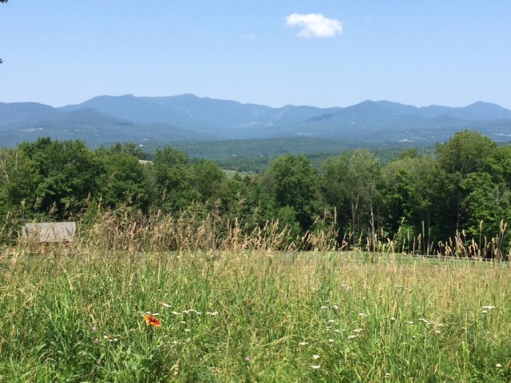 215 Logging Hill Road Stowe, VT 05672 - Photo 10 of 36 Gallery Image 10