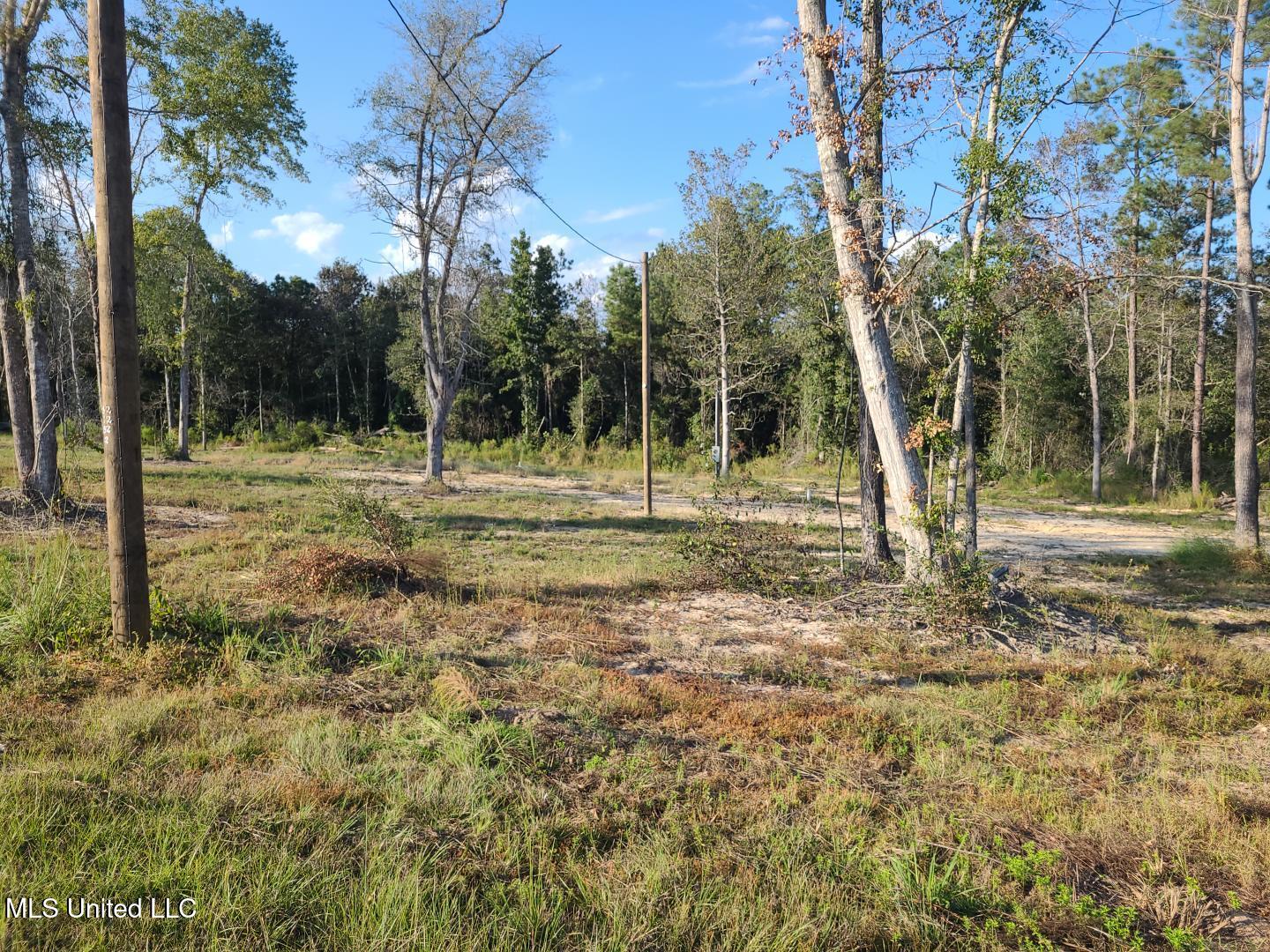 2 Silver Run Road Poplarville, MS 39470 - Photo 3 of 6 IMG_20250923_171132