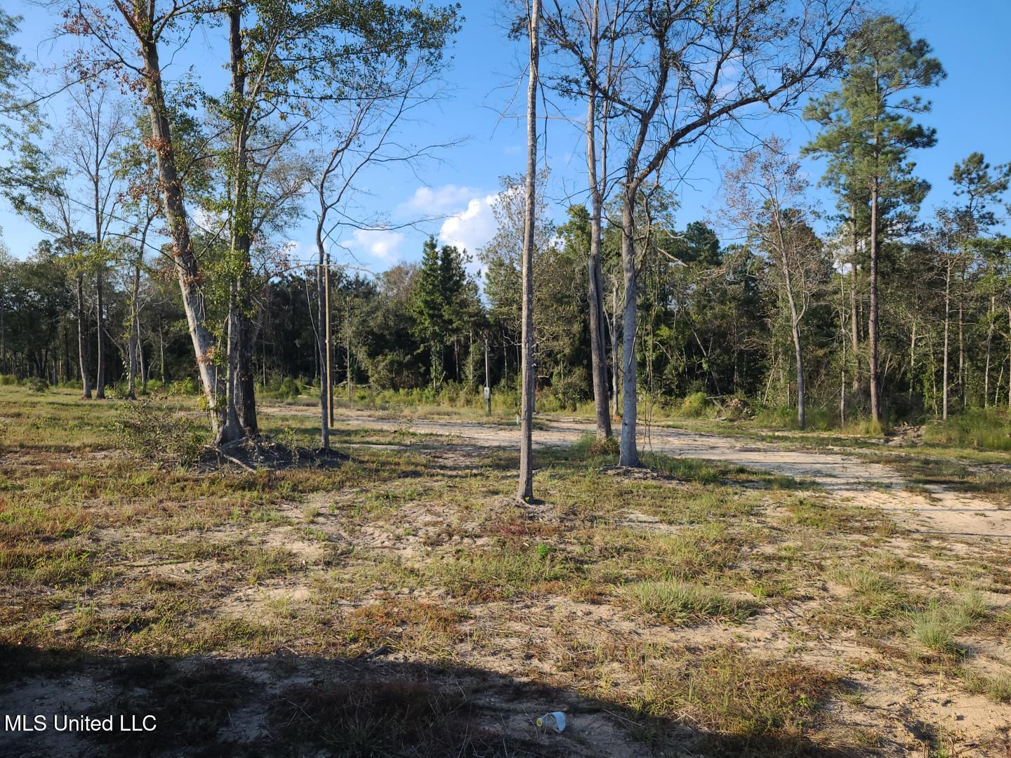 2 Silver Run Road Poplarville, MS 39470 - Photo 4 of 6 IMG_20250923_171121