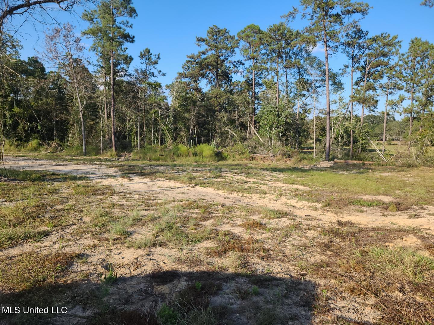 2 Silver Run Road Poplarville, MS 39470 - Photo 5 of 6 IMG_20250923_171119