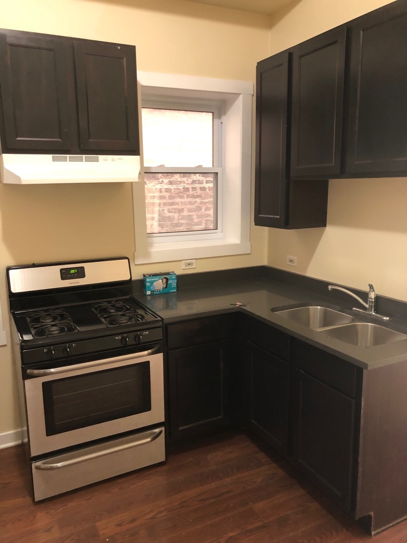 3147 South May Street, Unit 3F Chicago, IL 60608 - Photo 5 of 7