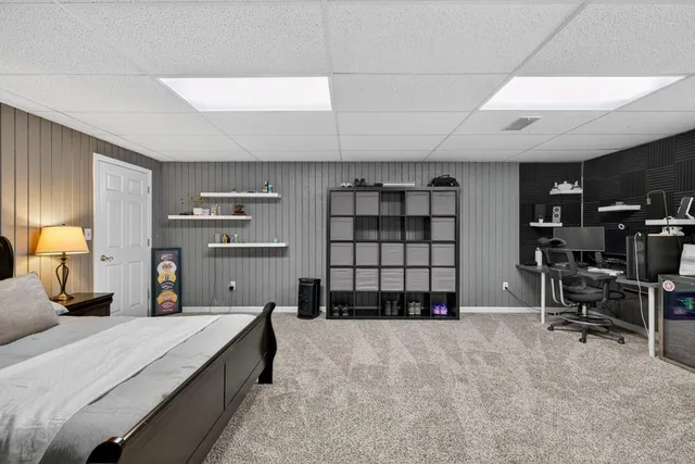 a view of a yard with plants and large trees