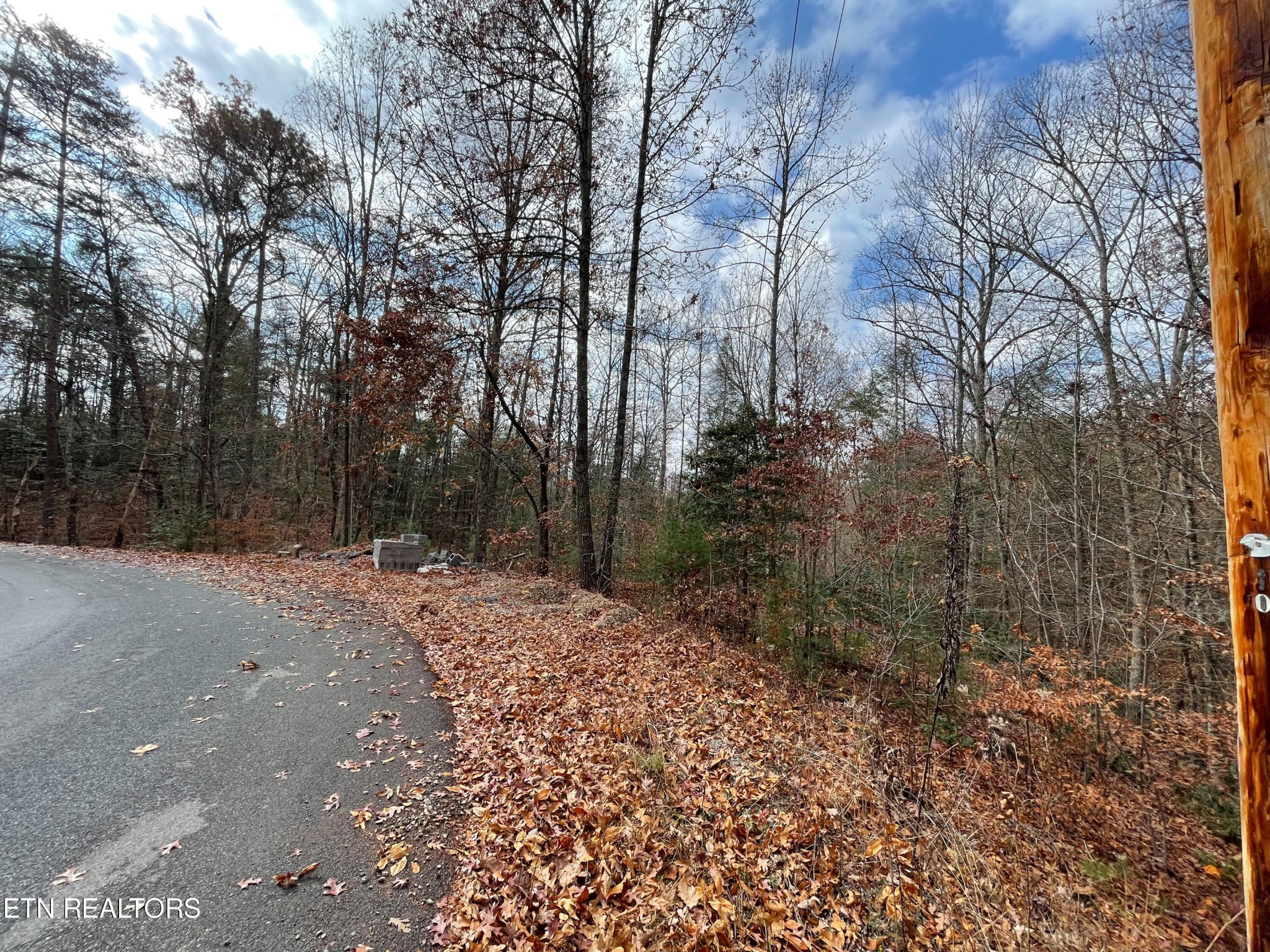 10795152 Shell Mountain Road Sevierville, TN 37876 - Photo 19 of 30 Gallery Image 19