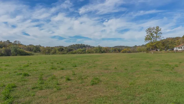 a view of a field with an ocean and trees