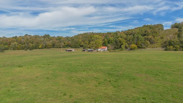a view of a field with an ocean