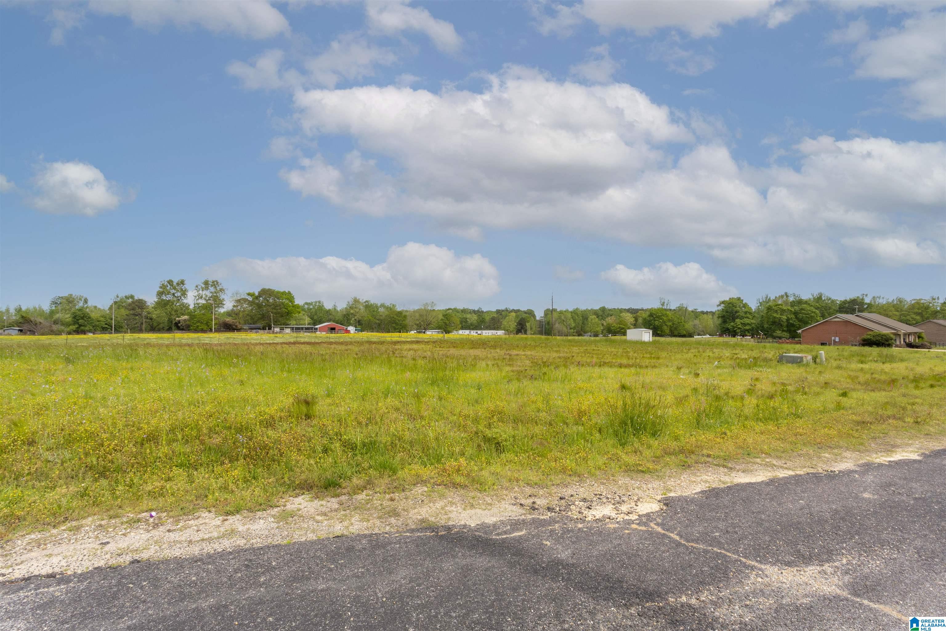 797 County Road Clanton, AL 35045 - Photo 44 of 44