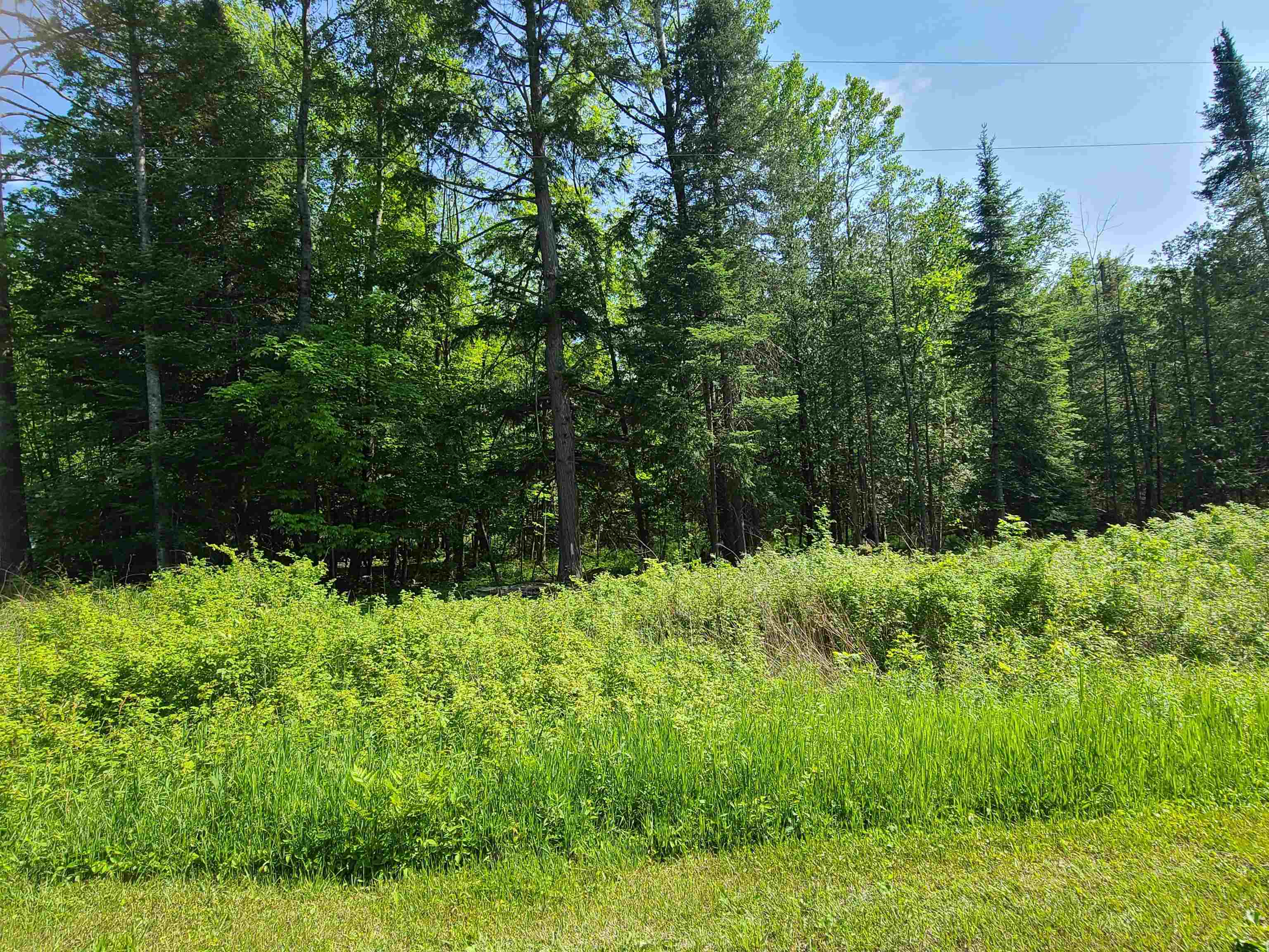 1281 West Trask Lake Road Barton City, MI 48705 - Photo 1 of 8
