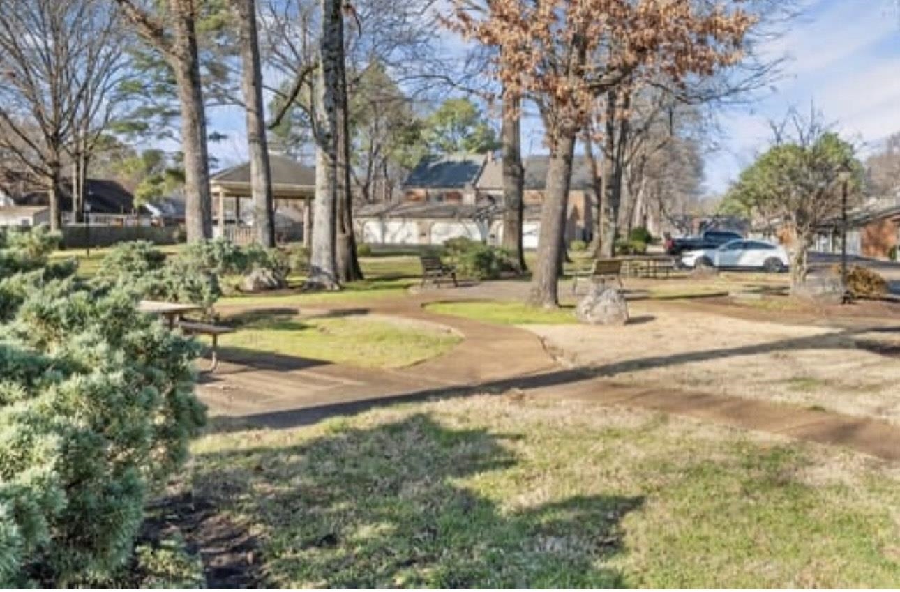 1687 Kimbrough Road, Unit 1687 Germantown, TN 38138 - Photo 18 of 20 a view of yard with trees