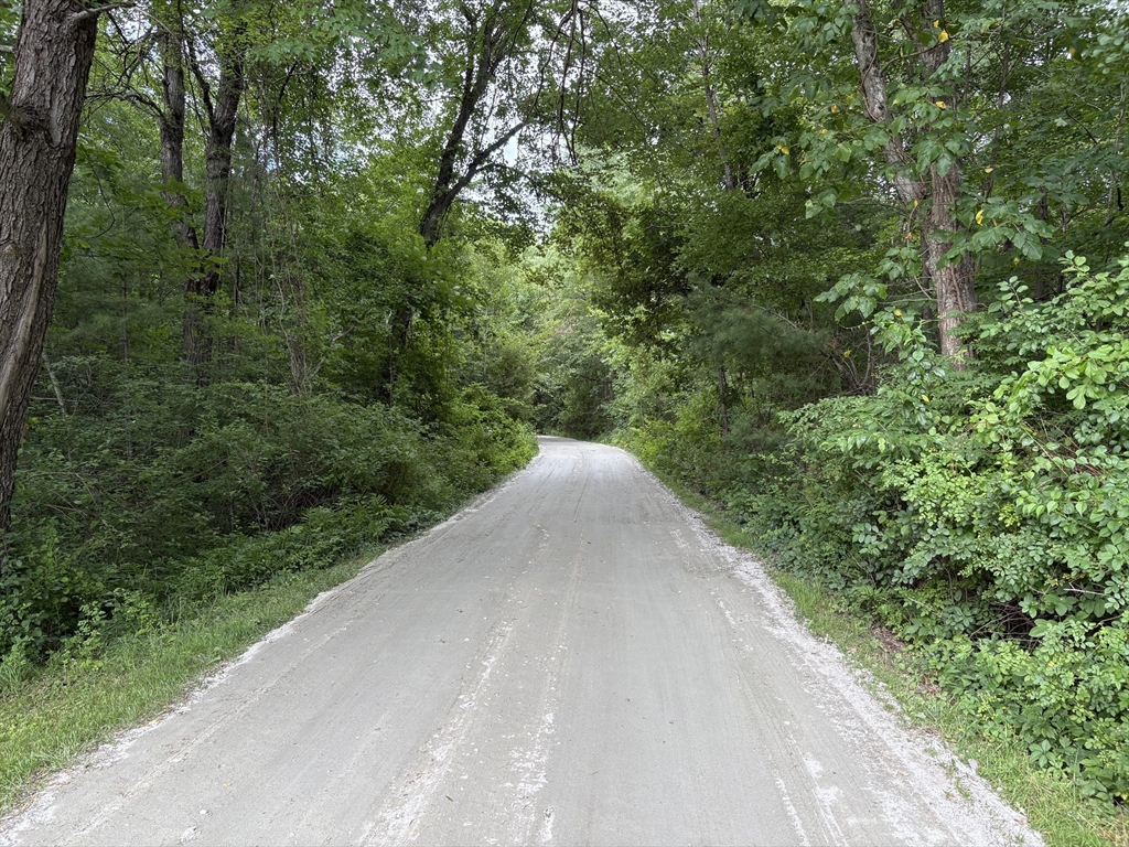 23 A Heald Street Pepperell, MA 01463 - Photo 39 of 42 a view of a forest with a street