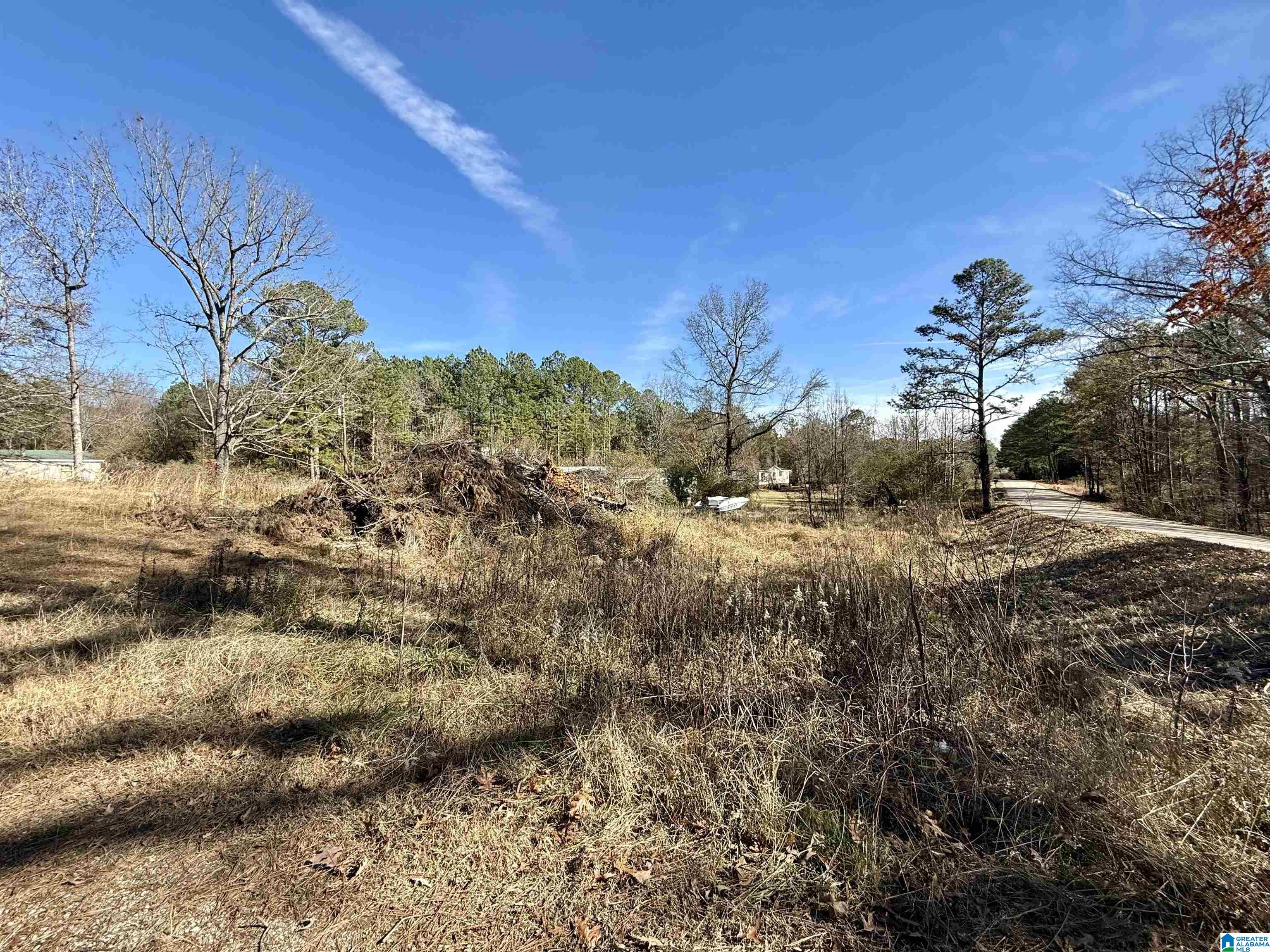 196 Arco Dairy Road Alpine, AL 35014 - Photo 7 of 7