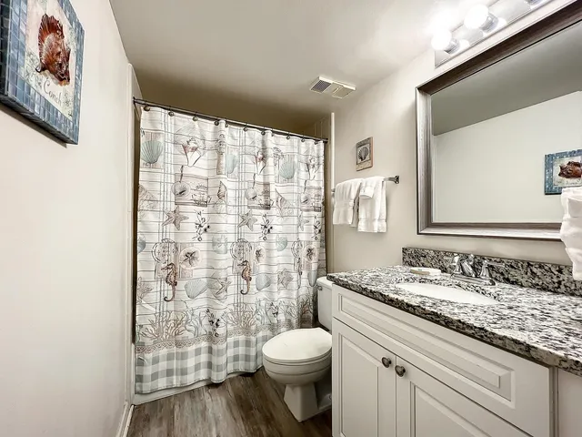 a bathroom with a granite countertop sink toilet and shower