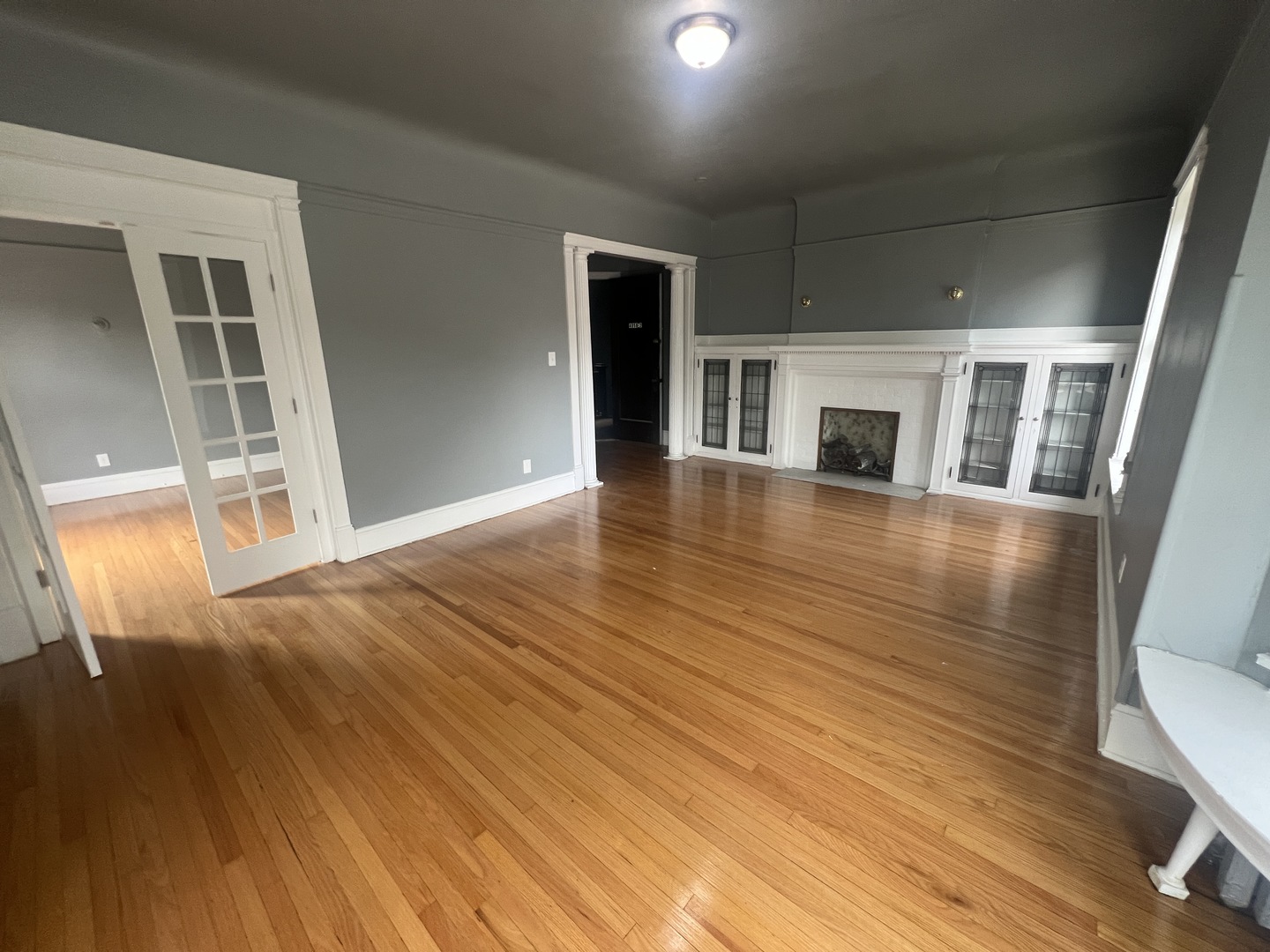 4958 South Michigan Avenue, Unit 2S Chicago, IL 60615 - Photo 3 of 11