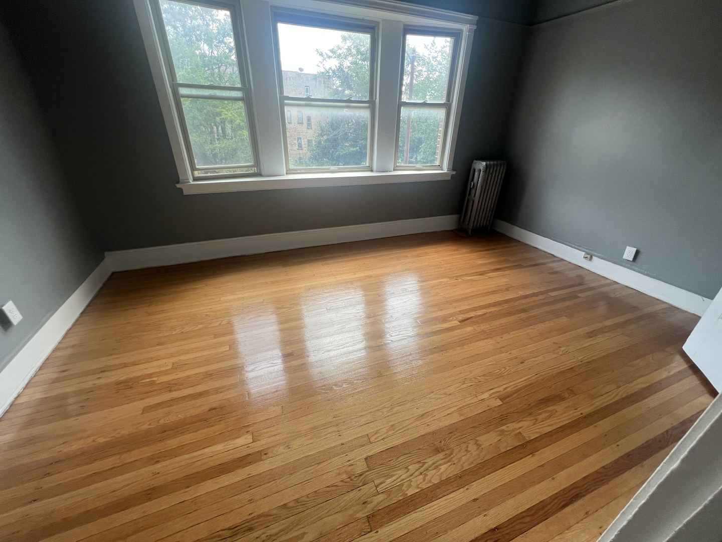 4958 South Michigan Avenue, Unit 2S Chicago, IL 60615 - Photo 5 of 11