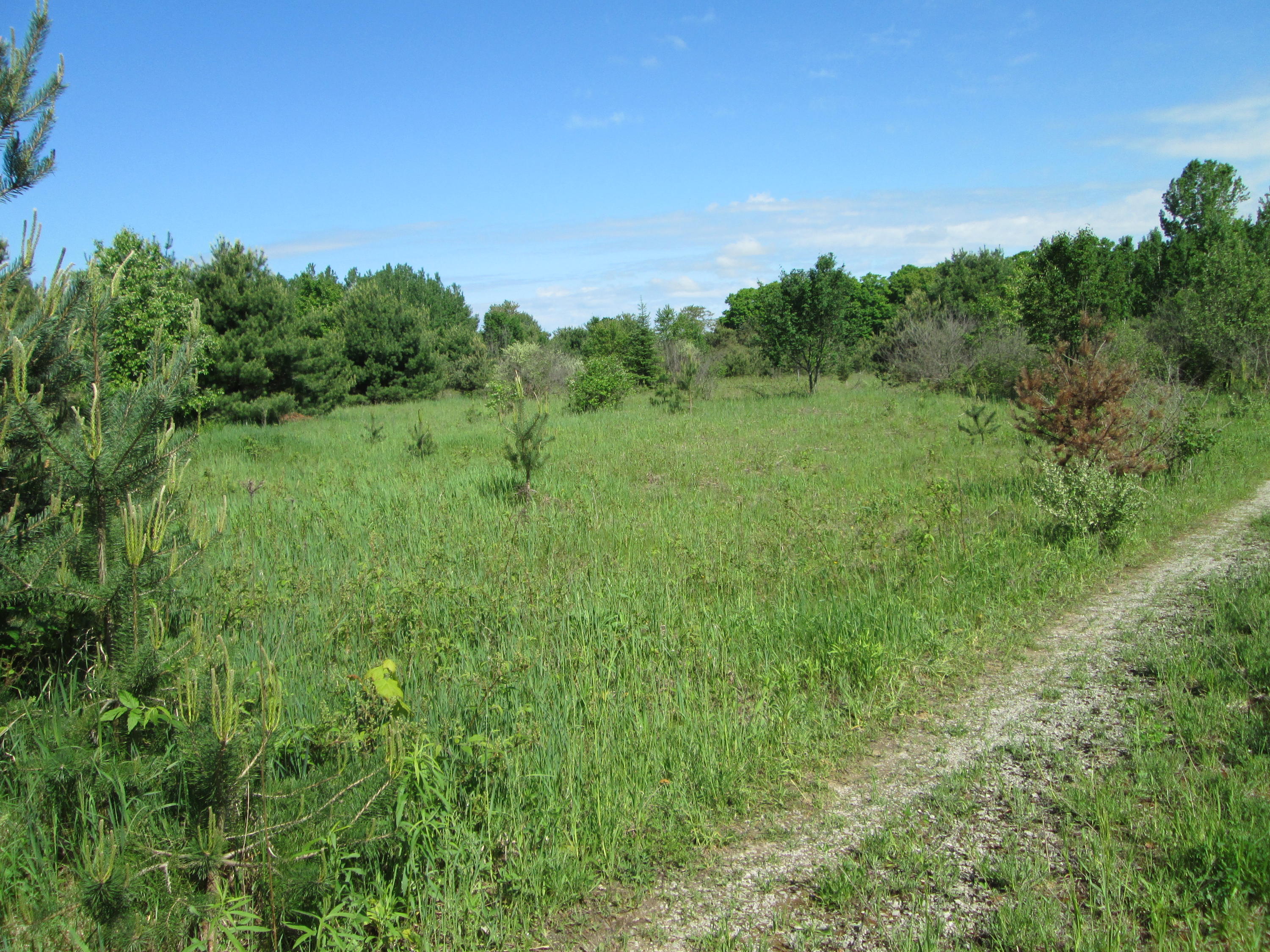 Pheasant Run Cheboygan, MI 49721 - Photo 4 of 8 Gallery Image 4